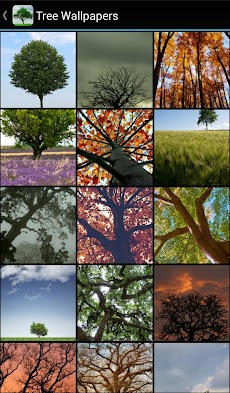 Tree Wallpapersのおすすめ画像2