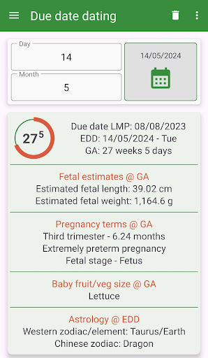 Pregnancy Wheel Screen 2