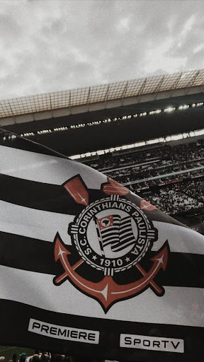 Hino Corinthians pra calopsita