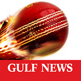 Gulf News Cricket icon