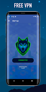 WOLF VPN for PC 2