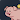 Your Piggy Bank