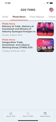 G20 TIIWG Screen 3