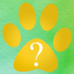 What dog breed are you? Personality test Apk