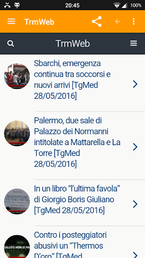 TrmWeb Screen 2