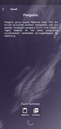 Mnemonic - App for Summarizing Screen 3