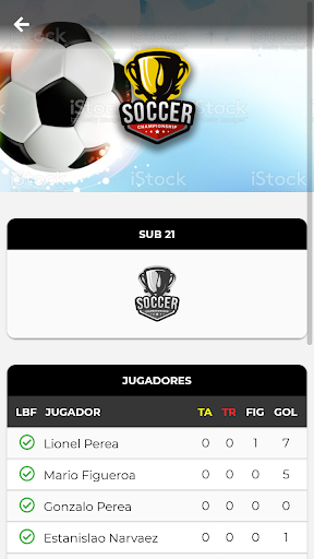Soccer Championship Screen 2