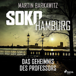 Obraz ikony: SoKo Hamburg: Das Geheimnis des Professors (Ein Fall für Heike Stein, Band 9) (SoKo Hamburg - Ein Fall für Heike Stein)
