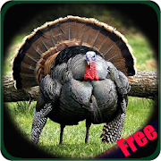 Turkey Hunting Calls  Icon