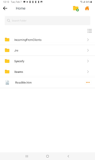 SynaMan Mobile Screen 3