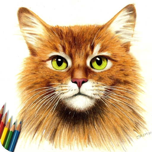 How to Draw a Cat 1.0 Icon