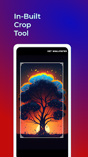 WallNode – 4K, HD Wallpapers MOD APK (Ads Removed) 6
