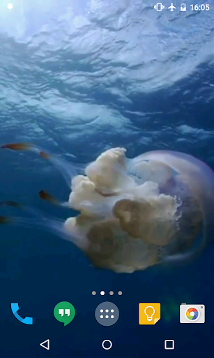 Ocean Live Wallpaper Screen 3