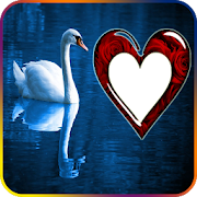 Top 49 Photography Apps Like All Love Birds Photo Frames: Photo with Birds 2019 - Best Alternatives