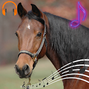 Horses Sounds and Ringtones