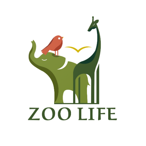 زوولايف -Zoolife logo