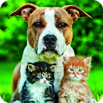 Cover Image of Télécharger Cats And Dogs Wallpaper  APK