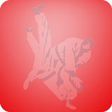 iBudokan Judo All icon