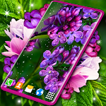 Cover Image of Download Flower Blossom Live Wallpaper 6.9.10 APK