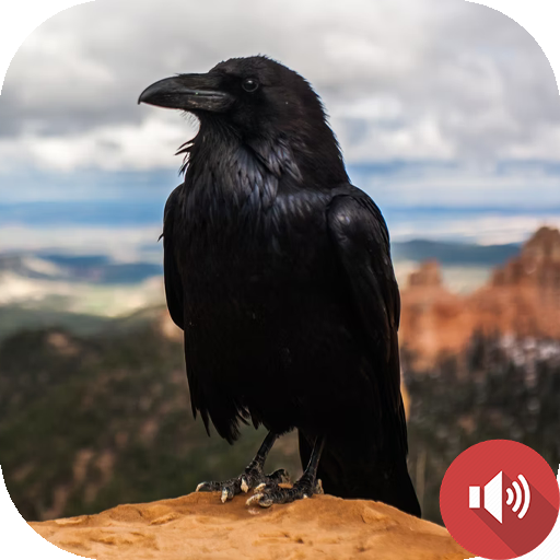 Crow Sounds logo