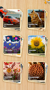 Jigsaw Puzzle Explorer screenshot 1