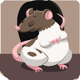 Rodent Trivia icon