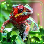 Cover Image of Tải xuống Lizards and Snakes 1.3 APK
