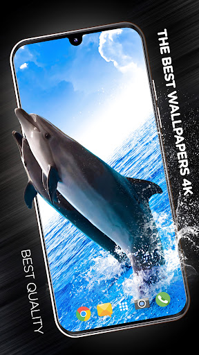 Android application Fishes Wallpapers in 4K screenshort