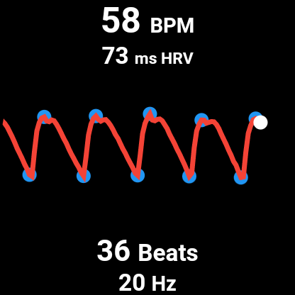 Heart Pulse Monitor