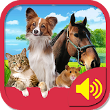Animal Sounds Effects icon