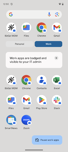 BizGo! MDM Screen 3