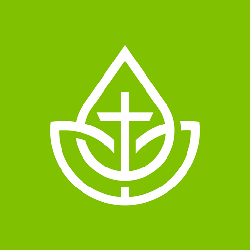IBMéier logo