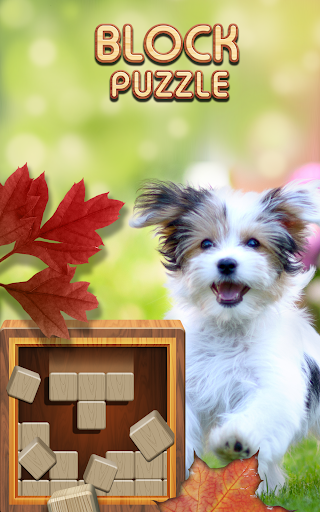 Android application Classic Block Puzzle Wood 1010 screenshort