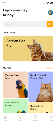 App preview