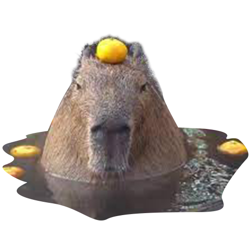 Run Capybara logo