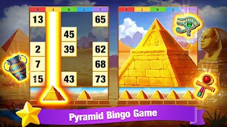 Game screenshot Bingo 2023 - Casino Bingo Game apk download