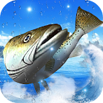 Thrilling Fish Hook World Cham