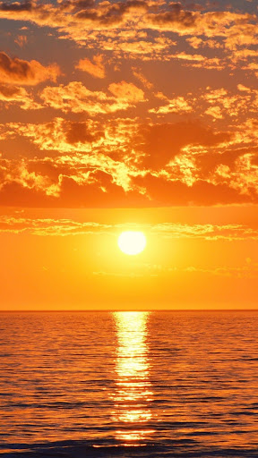 Yellow Color Wallpapers Screen 2