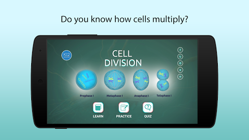 Process of Cell Division