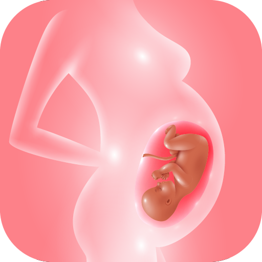 Embarazo: seguimiento del bebé Descarga en Windows