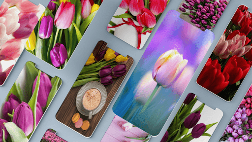 Screenshot of Tulip Wallpaper