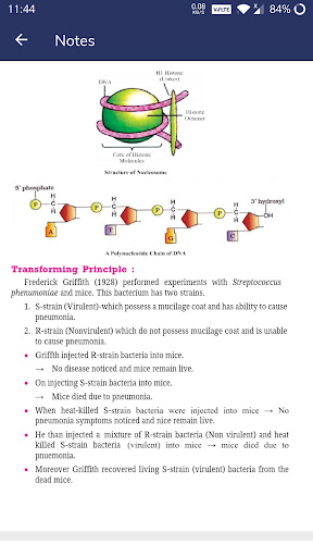 12th Biology Solution  Notes
