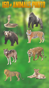 Captura de Pantalla 1 Wild Animal In Photo Camera android