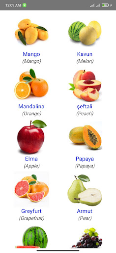 Learn Turkish for Kids