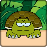 Turtle Shell icon