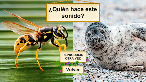 sonidos de animales Screen 3