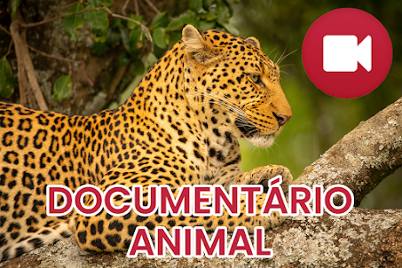 Documentário sobre animais
