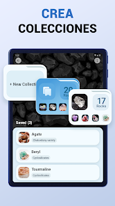 Imagen de la captura de pantalla