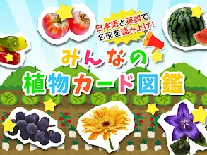 みんなの植物カード図鑑 幼児 子供向け 教育 英語 แอปพล เคช นใน Google Play