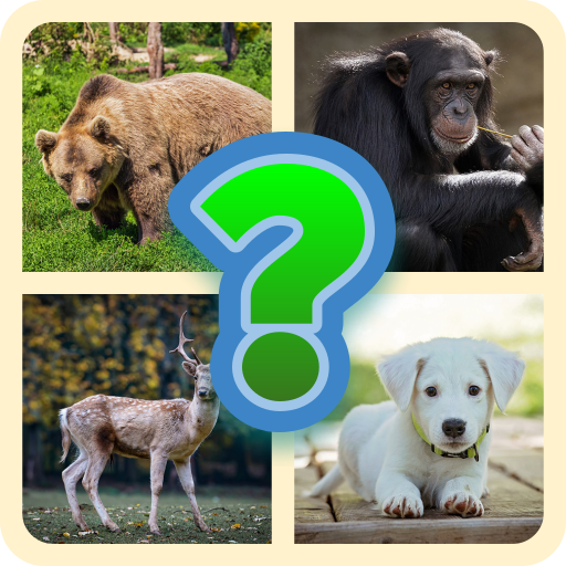 Квиз животные. Квиз животные рядом. Animal Quiz.